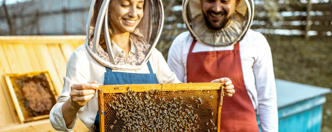 the lady beekeeper in the forest with the beehive